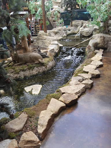 Sporting Goods Store «Bass Pro Shops», reviews and photos, 951 E Lewis and Clark Pkwy, Clarksville, IN 47129, USA