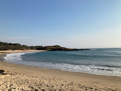 Bean Hollow Beach'in fotoğrafı çok temiz temizlik seviyesi ile