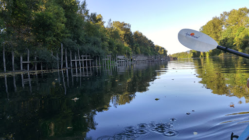 Tourist Attraction «Chehalem Paddle Launch», reviews and photos, 3100 SE 8th St, Dundee, OR 97115, USA