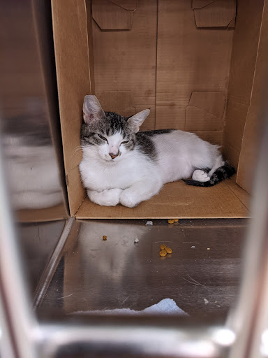 Pet Supply Store «PetSmart», reviews and photos, 13000 Aurora Ave N, Seattle, WA 98133, USA