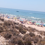 Photo n°10 de l'avis de Foral.a fait le 30/06/2022 à 21:16 sur le  Restaurante Praia da Galé à Albufeira