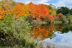 W.R. Bagley Nature Area image