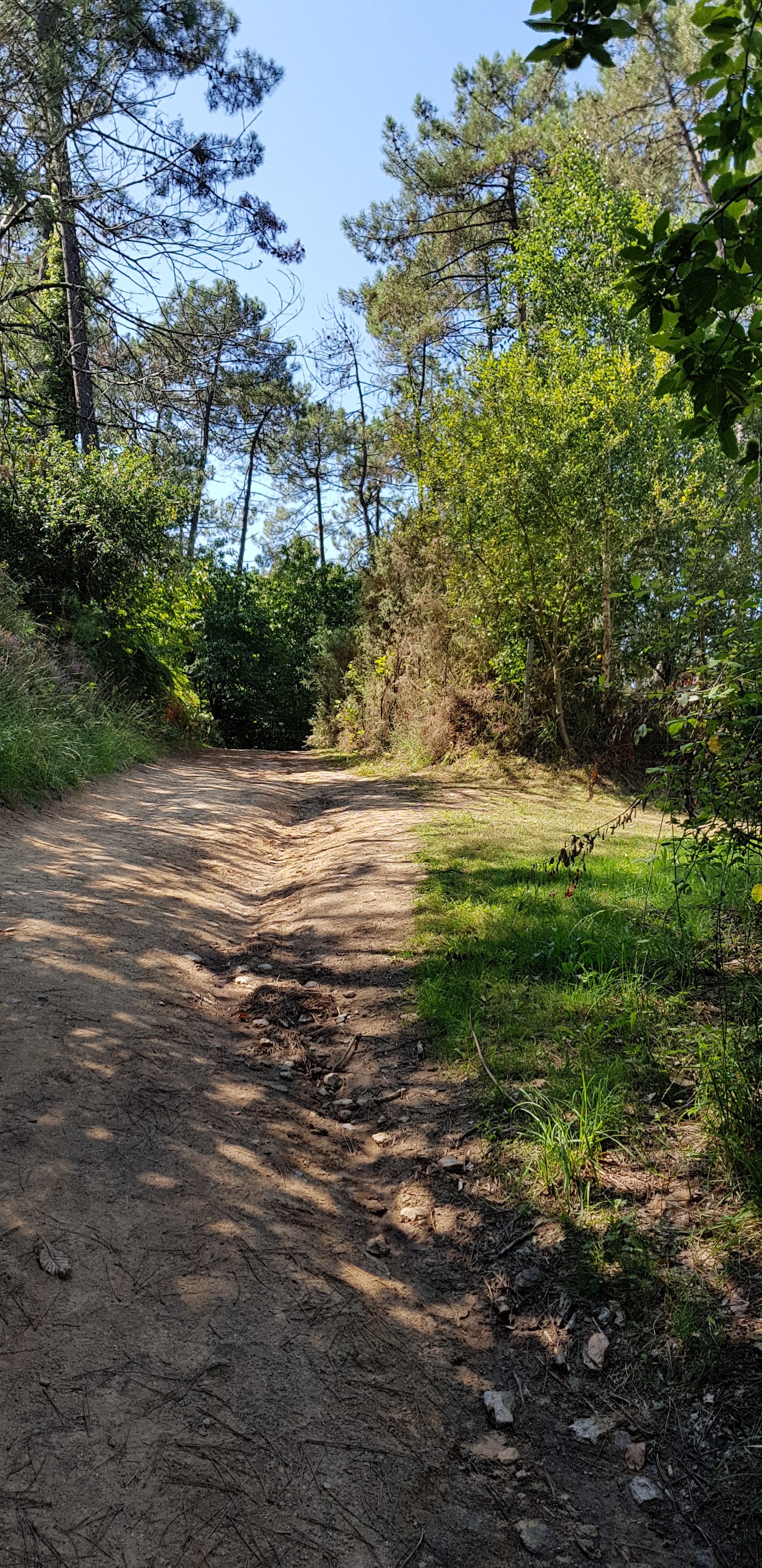 Photo n° 8 de l'avis de RIO.GRANDE.H fait le 02/09/2018 à 17:50