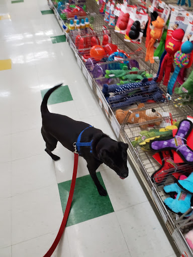 Pet Supply Store «Pet Supplies Plus», reviews and photos, 5348 Dixie Hwy, Waterford Twp, MI 48329, USA