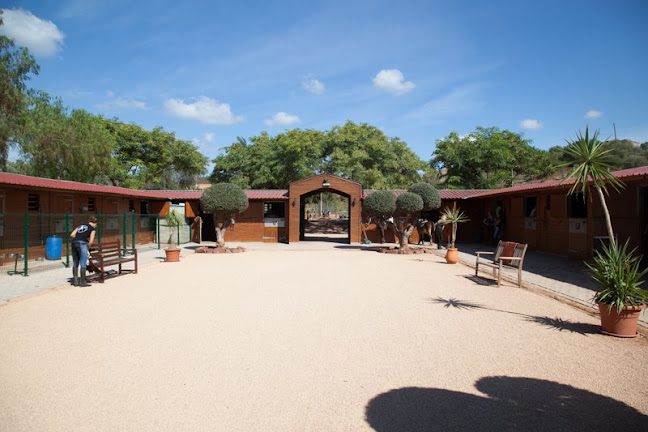 Country Riding Centre - Escola