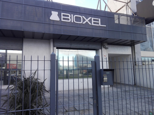 Bioxel S.A