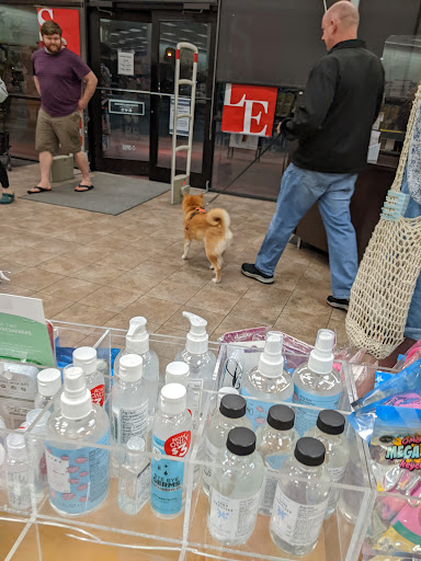 Book Store «Books-A-Million», reviews and photos, 839 Brandon Town Center Dr, Brandon, FL 33511, USA