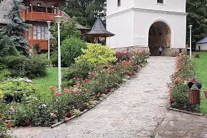 ”Floare de Colț” camp Durau image