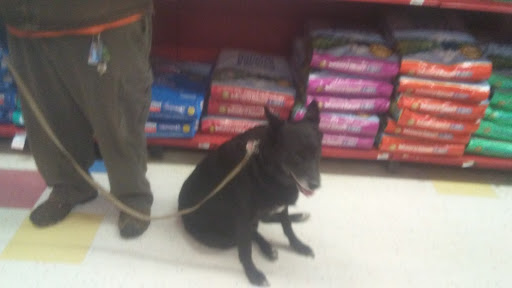 Pet Supply Store «Petco Animal Supplies», reviews and photos, 48 Watertower Plaza, Leominster, MA 01453, USA