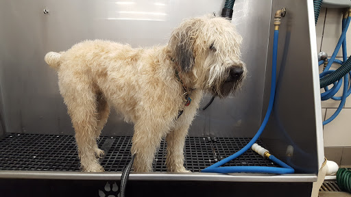 Pet Supply Store «Pet Supplies Plus», reviews and photos, 345 Willow Bend, Crystal, MN 55428, USA