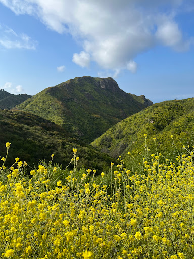 Backbone Trail Access at Kanan