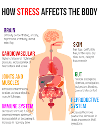 Train With TR Health & Fitness Consulting - Photo 7 - Car repair in Hollywood, FL, Hollywood