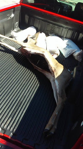 Butcher Shop «Stoysich House of Sausage», reviews and photos, 2532 S 24th St, Omaha, NE 68108, USA