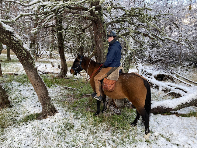 Teléfono de Horse Riding - Horse Connection Patagonia (EX Centro Ecuestre Los Alazanes)