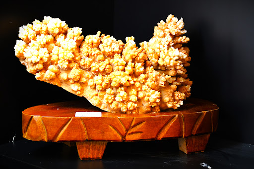 Legal Services «Pusch & Nguyen Law Firm LLP», reviews and photos