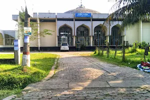 BAU Central Mosque image