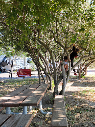 SacWest RV Park & Campground image
