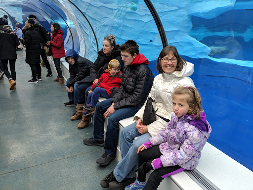 Zoo «Arctic Ring of Life», reviews and photos, 8450 W 10 Mile Rd, Royal Oak, MI 48067, USA