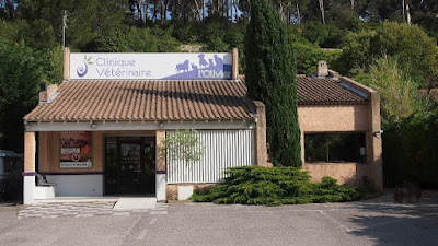 Vetolivier à Ollioules