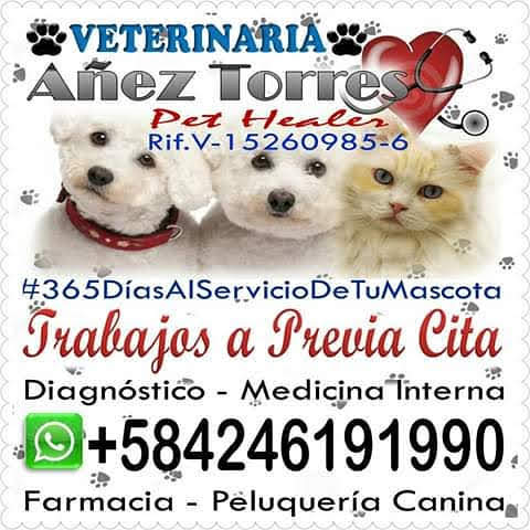 Veterinaria Añez Torres Pet Healer F.P