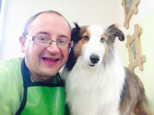 Pet Groomer «Pupazzo Dog Grooming Xprss & Pet Supplies», reviews and photos, 2080 E Pacific Coast Hwy, Long Beach, CA 90804, USA