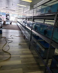 Extreme tropical pets - Photo 3 - Car repair in Youngstown, OH, Youngstown