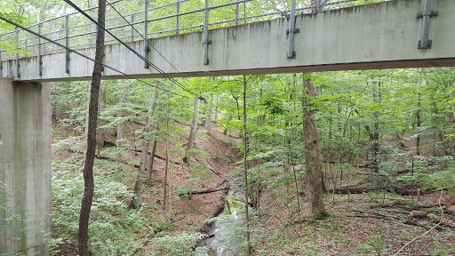 Tourist Attraction «ZipZone Canopy Tours», reviews and photos, 7925 N High St, Columbus, OH 43235, USA