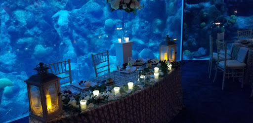 Florist «Apple Blossoms Floral Designs», reviews and photos, 3625 W Kennedy Blvd, Tampa, FL 33609, USA