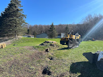 Kilts Stump Grinding - Photo 9 - Car repair in , Utica