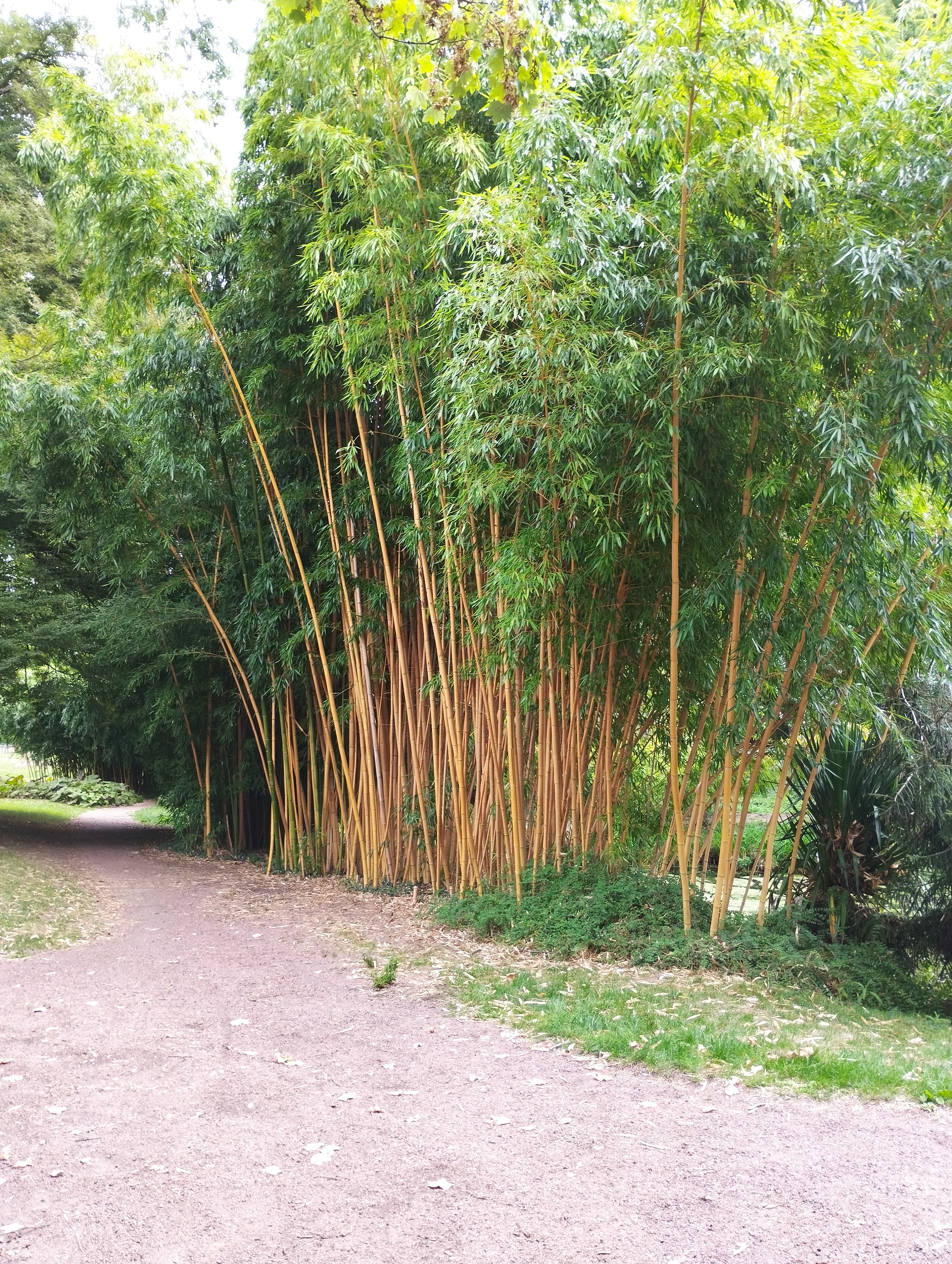 Photo n° 4 de l'avis de V. fait le 23/08/2022 à 18:25