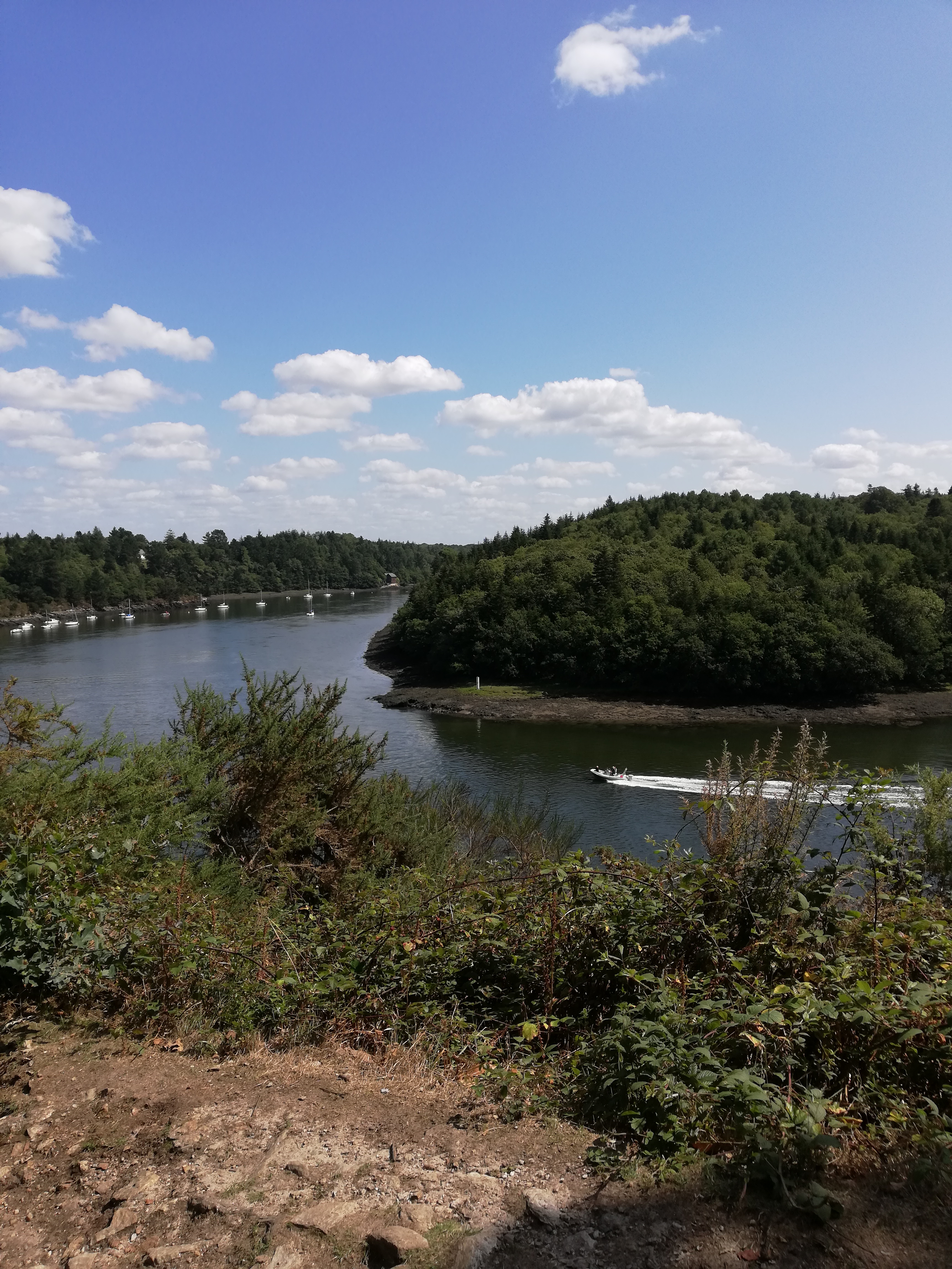Photo n° 36 de l'avis de Celine.a fait le 17/10/2019 à 06:33