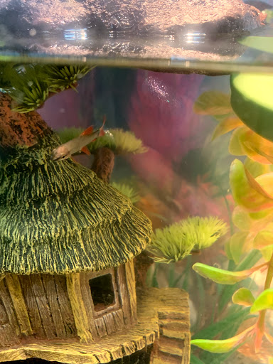 Pet Supply Store «PetSmart», reviews and photos, 170 Marketplace Blvd, Hamilton Township, NJ 08691, USA