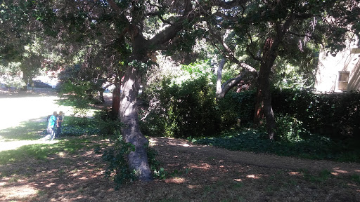 Park «Maxwell Park», reviews and photos, 4618 Allendale Ave, Oakland, CA 94619, USA