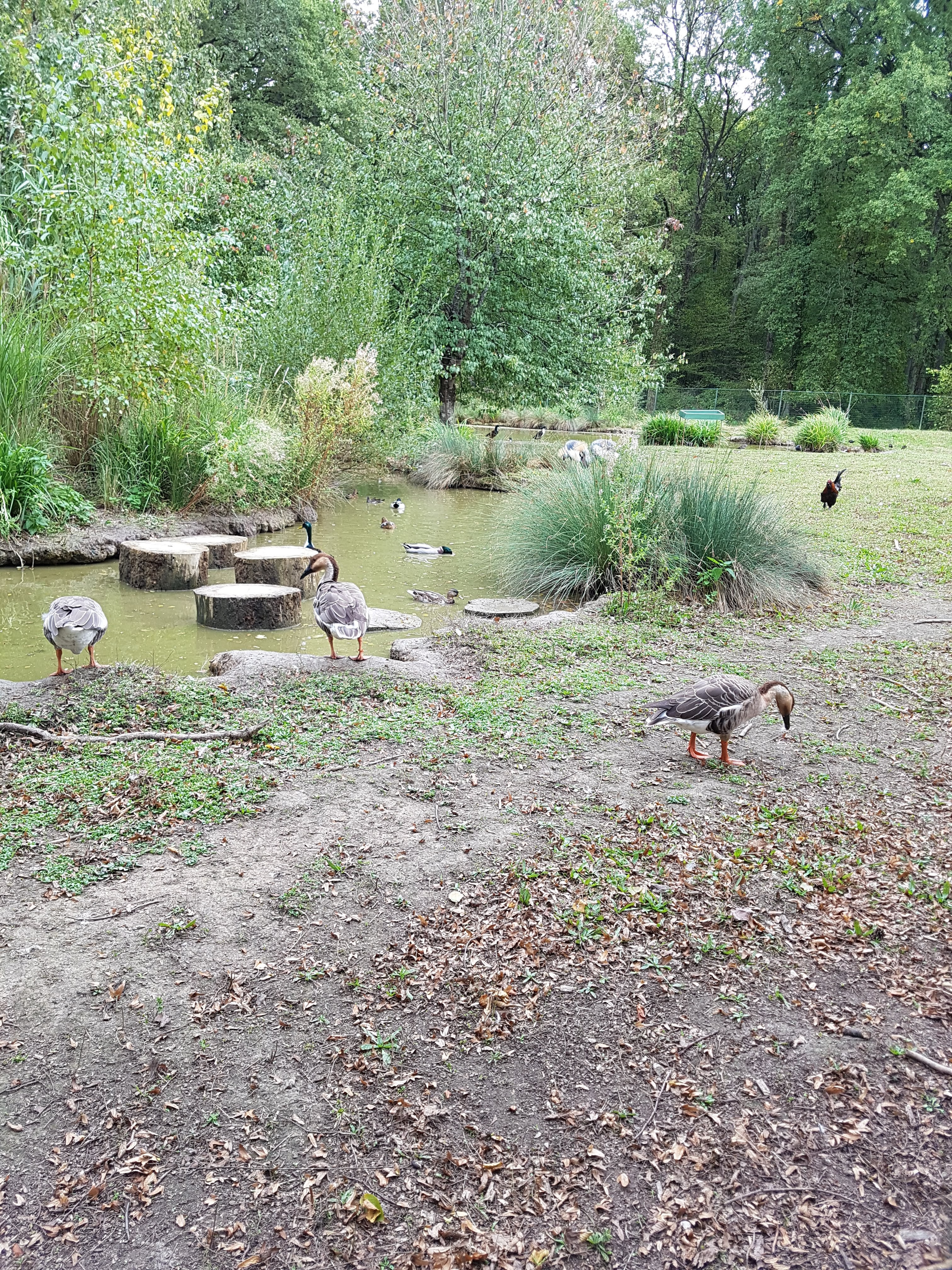 Photo n° 5 de l'avis de Gwid.a fait le 14/10/2019 à 08:45