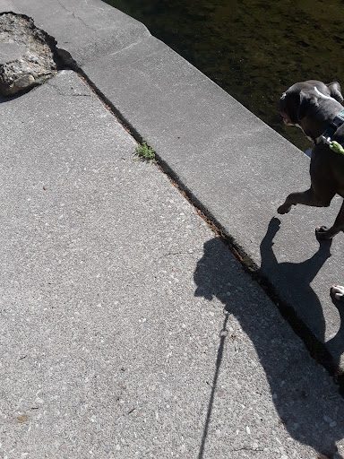 Park «Lykens Glen Park», reviews and photos, 706 Park View Rd, Lykens, PA 17048, USA