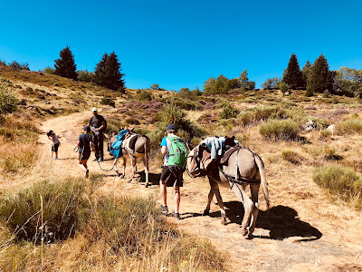 LE COL DE LA MOLEDE A CHEVAL OU AU PAS DE L'ÂNE à Albepierre-Bredons
