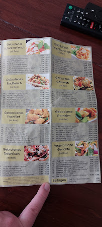 Green Wok à Rudolstadt menu