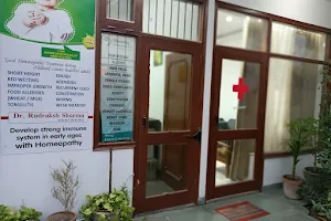 Dr. Rudraksh Sharma Homeopathic Clinic - Best Homeopathic Clinic in Karnal image