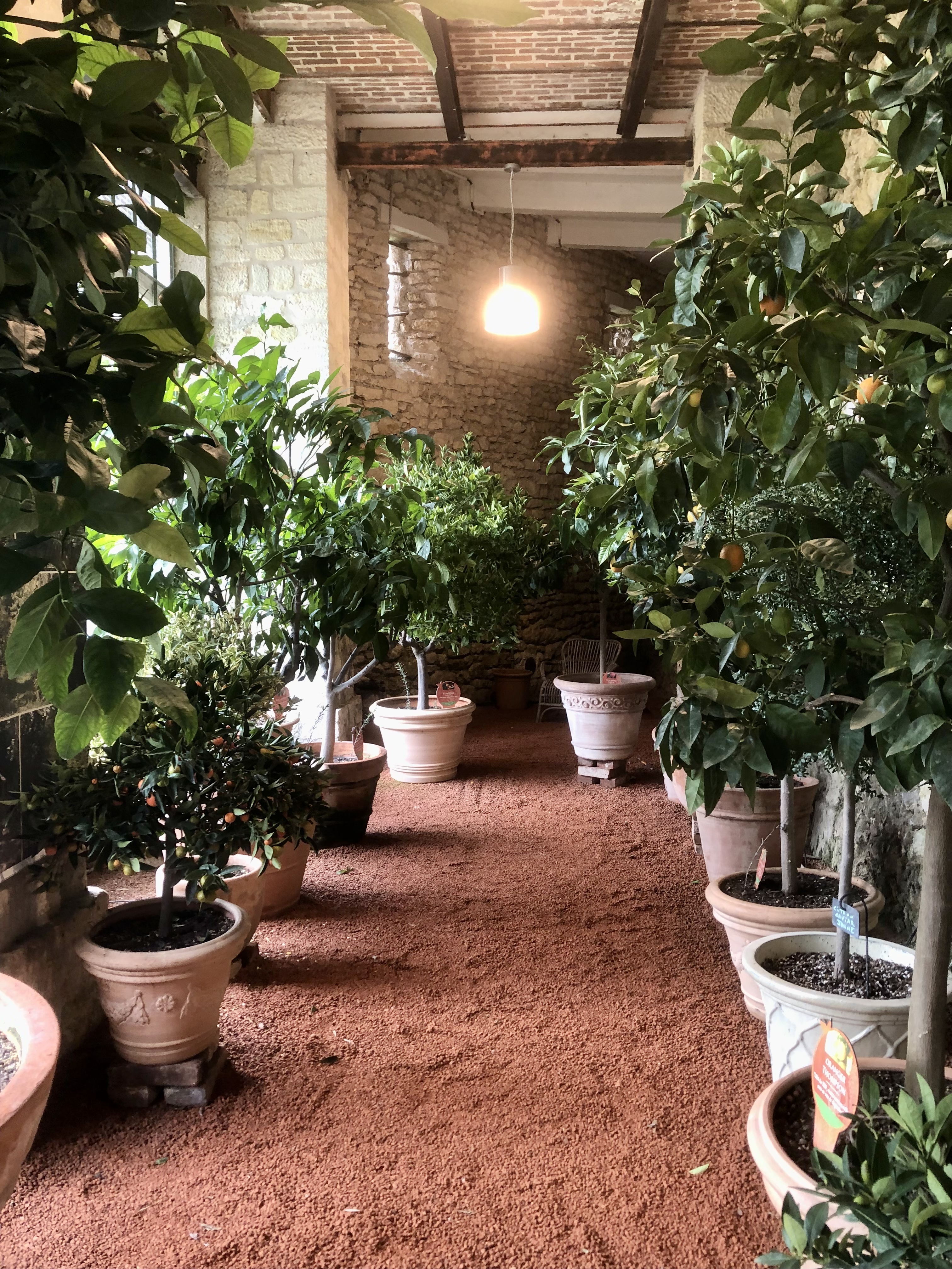 Photo n° 5 de l'avis de Gîte.a fait le 12/03/2023 à 18:25