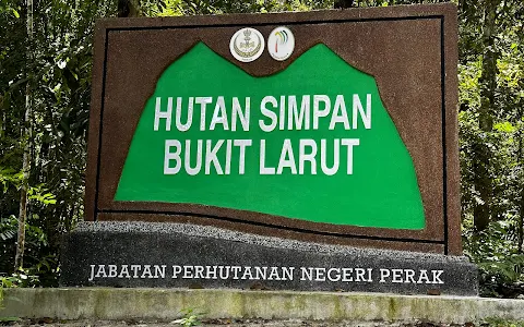 Bukit Larut Office image