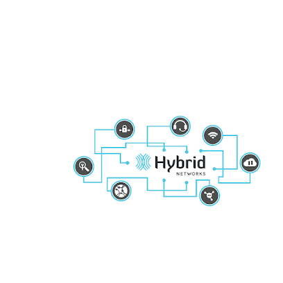 Hybrid Networks