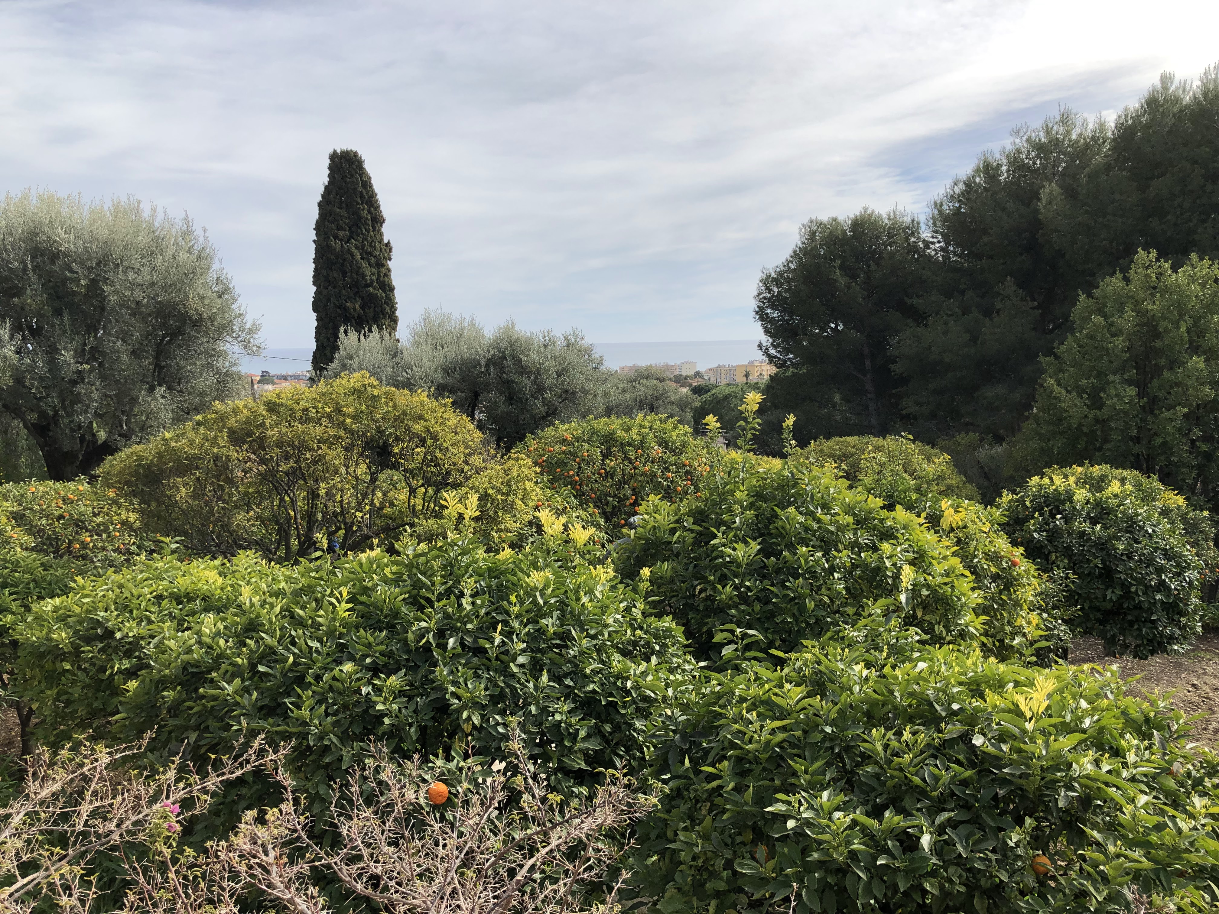 Photo n° 12 de l'avis de Denis.u fait le 25/04/2019 à 10:20