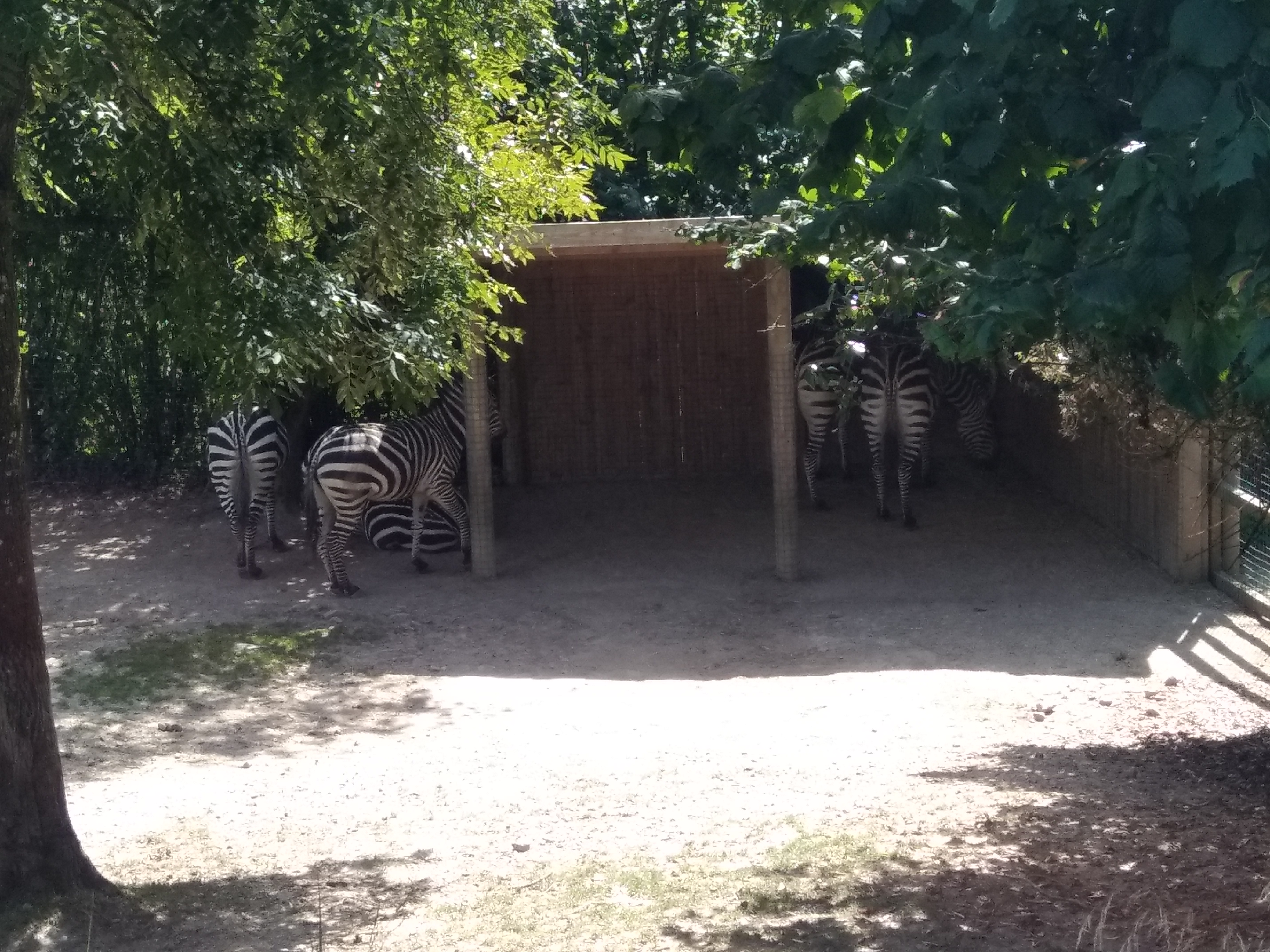Photo n° 42 de l'avis de carine.a fait le 25/08/2019 à 20:31