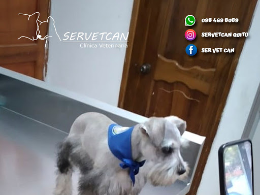 Clínica Veterinaria SERVETCAN; Peluquería Canina, Cesáreas, Esterilizaciones, Vacunas. Pusuquí - Quito - Quito