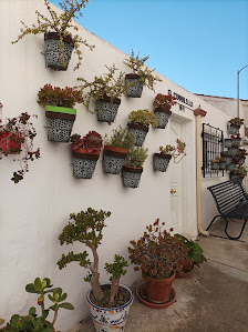 El rincón de las macetas C. la Loma, 14, 04887 Lúcar, Almería, España