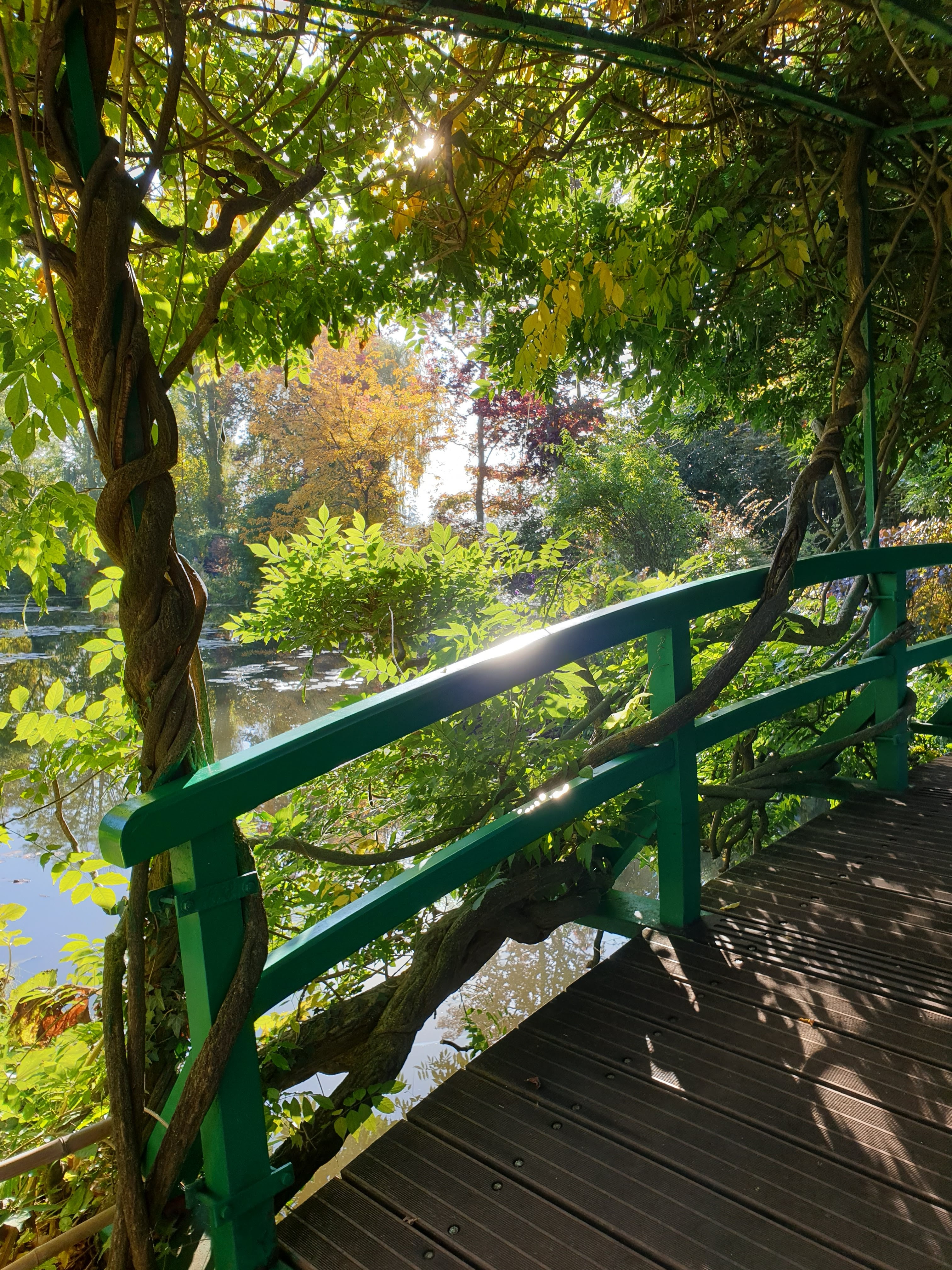 Photo n° 2 de l'avis de Anne-Lise.A fait le 29/10/2021 à 20:57