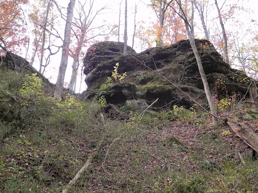 Nature Preserve «Fern Cliff Nature Preserve», reviews and photos, W County Rd 375 S, Greencastle, IN 46135, USA