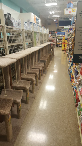 Pet Supply Store «PetSmart», reviews and photos, 5750 W 86th St, Indianapolis, IN 46278, USA