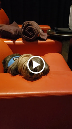 Movie Theater «iPic Theaters», reviews and photos, 301 Plaza Real, Boca Raton, FL 33432, USA