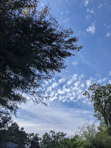 Park «Palisades Park Recreation Area», reviews and photos, 676 Undercliff Ave, Edgewater, NJ 07020, USA